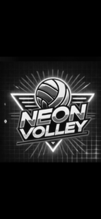 NEON VOLLEY