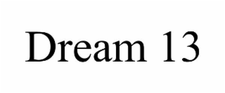 DREAM 13
