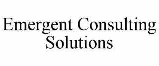 EMERGENT CONSULTING SOLUTIONS