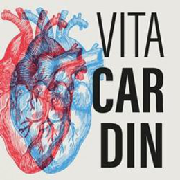 VITA CAR DIN