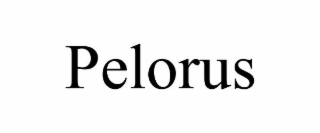 PELORUS