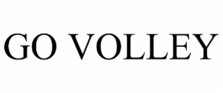 GO VOLLEY