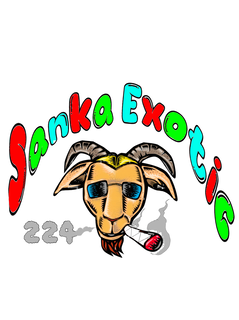 SANKA EXOTIC 224 trademark