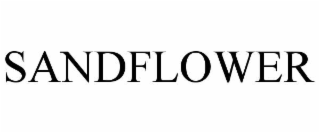 SANDFLOWER