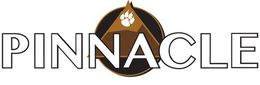 PINNACLE