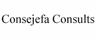 CONSEJEFA CONSULTS