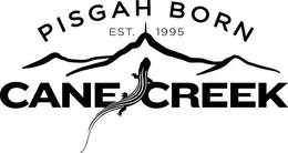PISGAH BORN EST. 1995 CANE CREEK