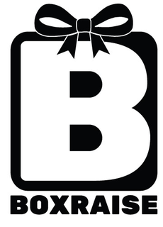 BOXRAISE