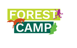 FOREST CAMP