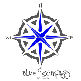 TORREY CONSULTING LLC