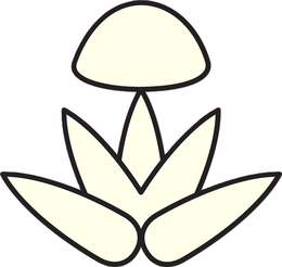 Full Half Zero IP Pty Ltd