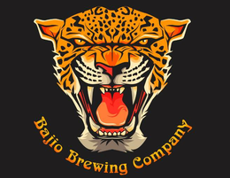 Celtic Projects, LLC