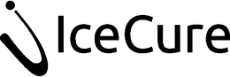 ICECURE MEDICAL LTD.