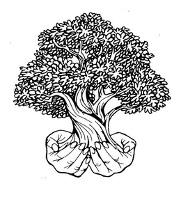 Natural Eye Care, Inc.