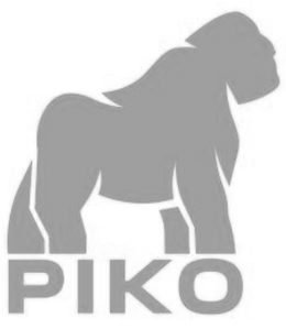 Piko Labs AI, Inc.
