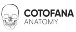 COTOFANA ANATOMY