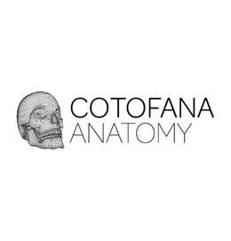 COTOFANA ANATOMY