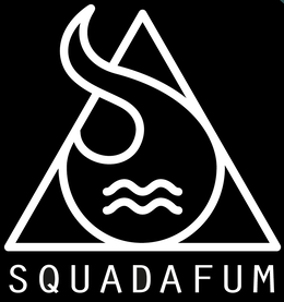 FGN Coméricio e Importação de Artigos de Tabacaria LTDA