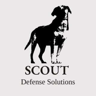 SCOUT DEFENSE SOLUTIONS