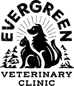 Evergreen Veterinary Clinic LLC