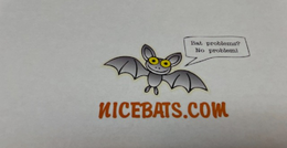 NICEBATS.COM BAT PROBLEMS? NO PROBLEM!