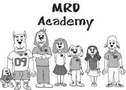 ACADEMY MRD RD RD