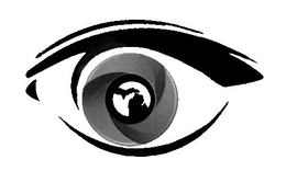 20/20 Family Vision Distribution, LLC logo