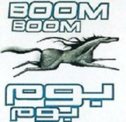 MAHMOOD SAEED BEVERAGES INDUSTRY LLC