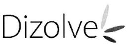 Dizolve Group Corporation