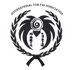 INTERNATIONAL TUM PAI ASSOCIATION