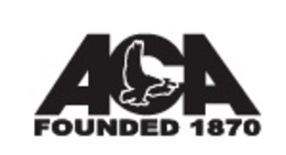 The American Correctional Association