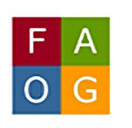 Community Foundations Services Corporation