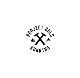PROJECT GOLD RUNNING