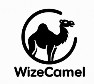 WIZECAMEL