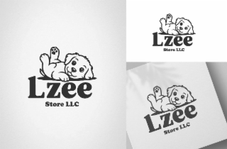 LZEE STORE LLC LZEE STORE LLC LZEE STORE LLC