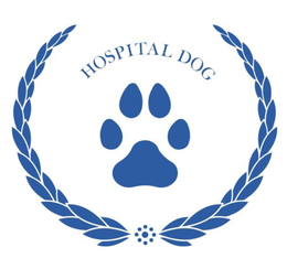 HOSPITAL DOG