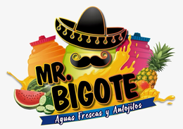 MR BIGOTE LLC