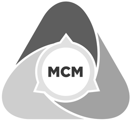 THE MEADOWS MENTAL HEALTH POLICY INSTITUTE FOR TEXAS