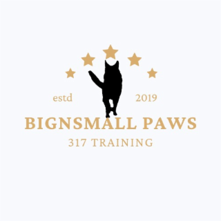 BIGNSMALL PAWS ESTD 317 TRAINING 2019