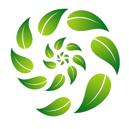 Princeton Montessori Society