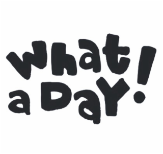 WHAT A DAY!