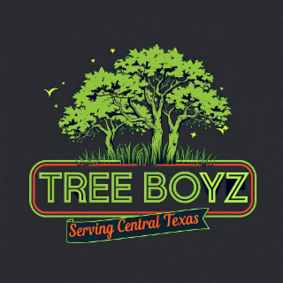 TREE BOYZ SERVING CENTRAL TEXAS