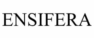 ENSIFERA
