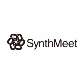 SYNTHMEET
