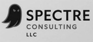 SPECTRE CONSULTING LLC