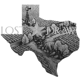 LOST DRAW