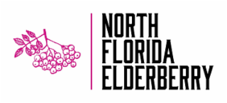 NORTH FLORIDA ELDERBERRY