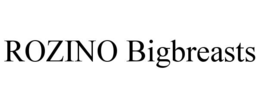 ROZINO BIGBREASTS