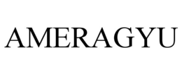 AMERAGYU