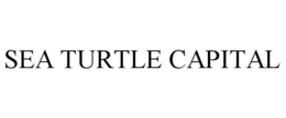 SEA TURTLE CAPITAL
